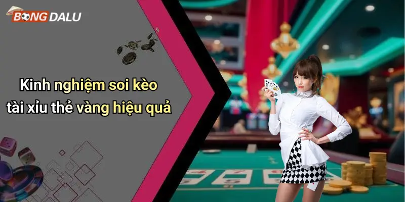 Kinh nghiệm soi kèo tài xỉu thẻ vàng hiệu quả