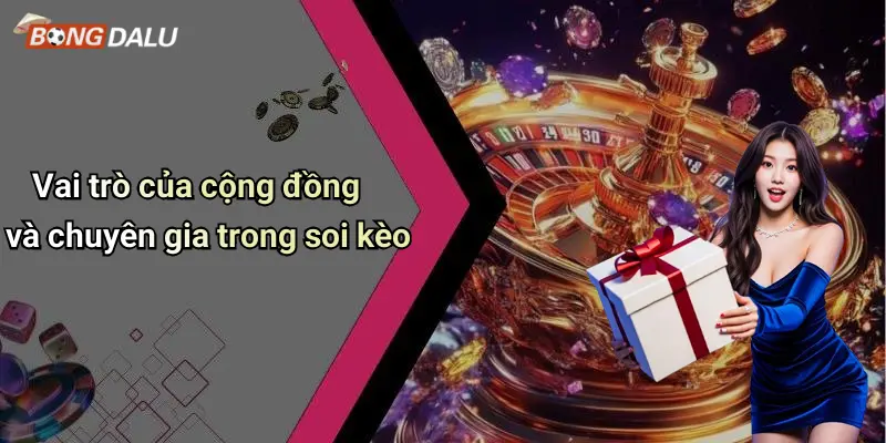 Vai trò của cộng đồng và chuyên gia trong soi kèo