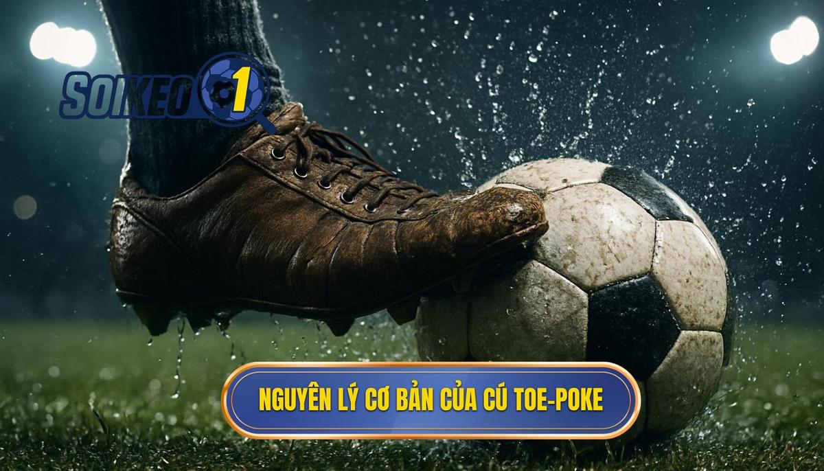 Lịch sử và Nguyên lý cơ bản của cú Toe-poke