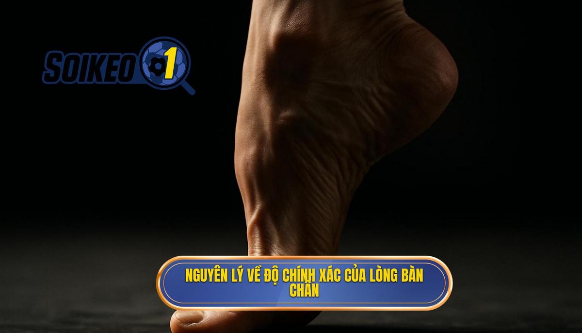 Nguyên Lý Cơ Bản Đằng Sau Độ Chính Xác Của Lòng Bàn Chân